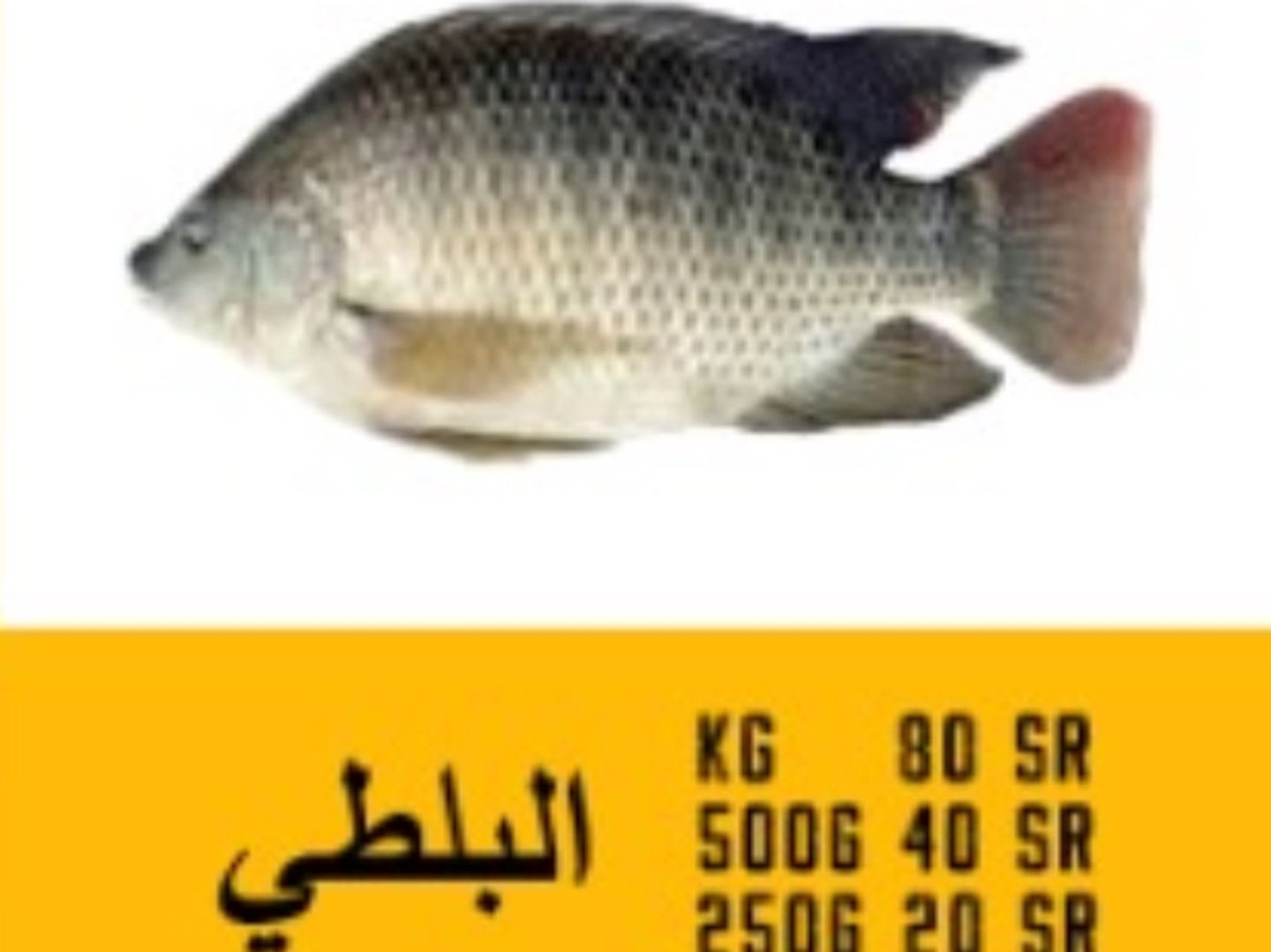 سمك البلطي