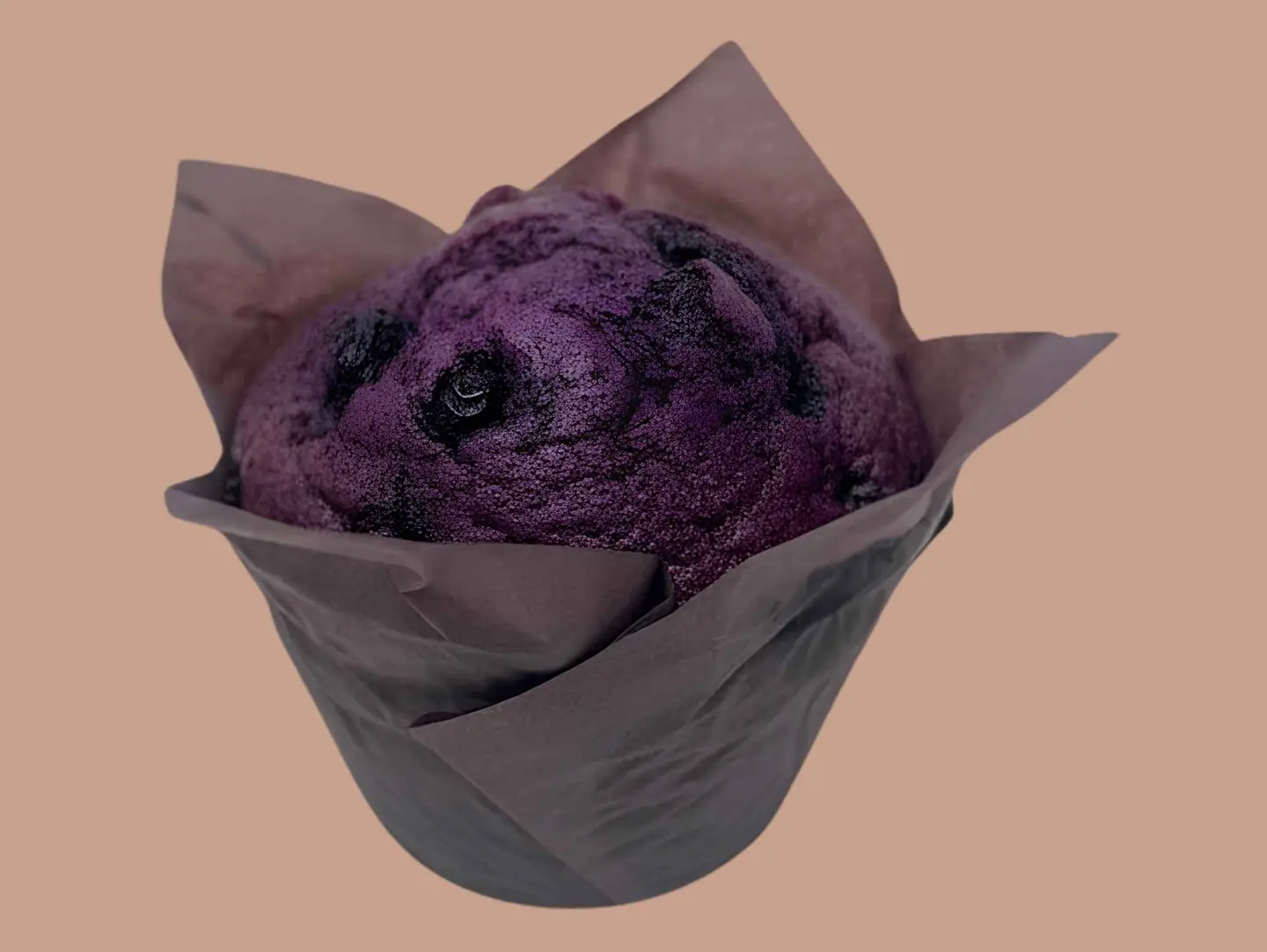 Blueberry Muffin