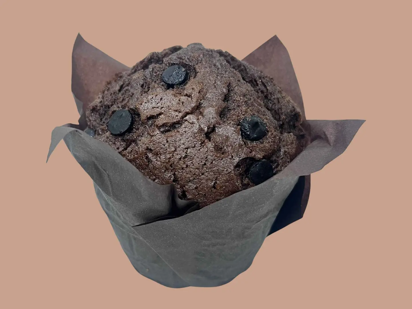 Chocolate Muffin