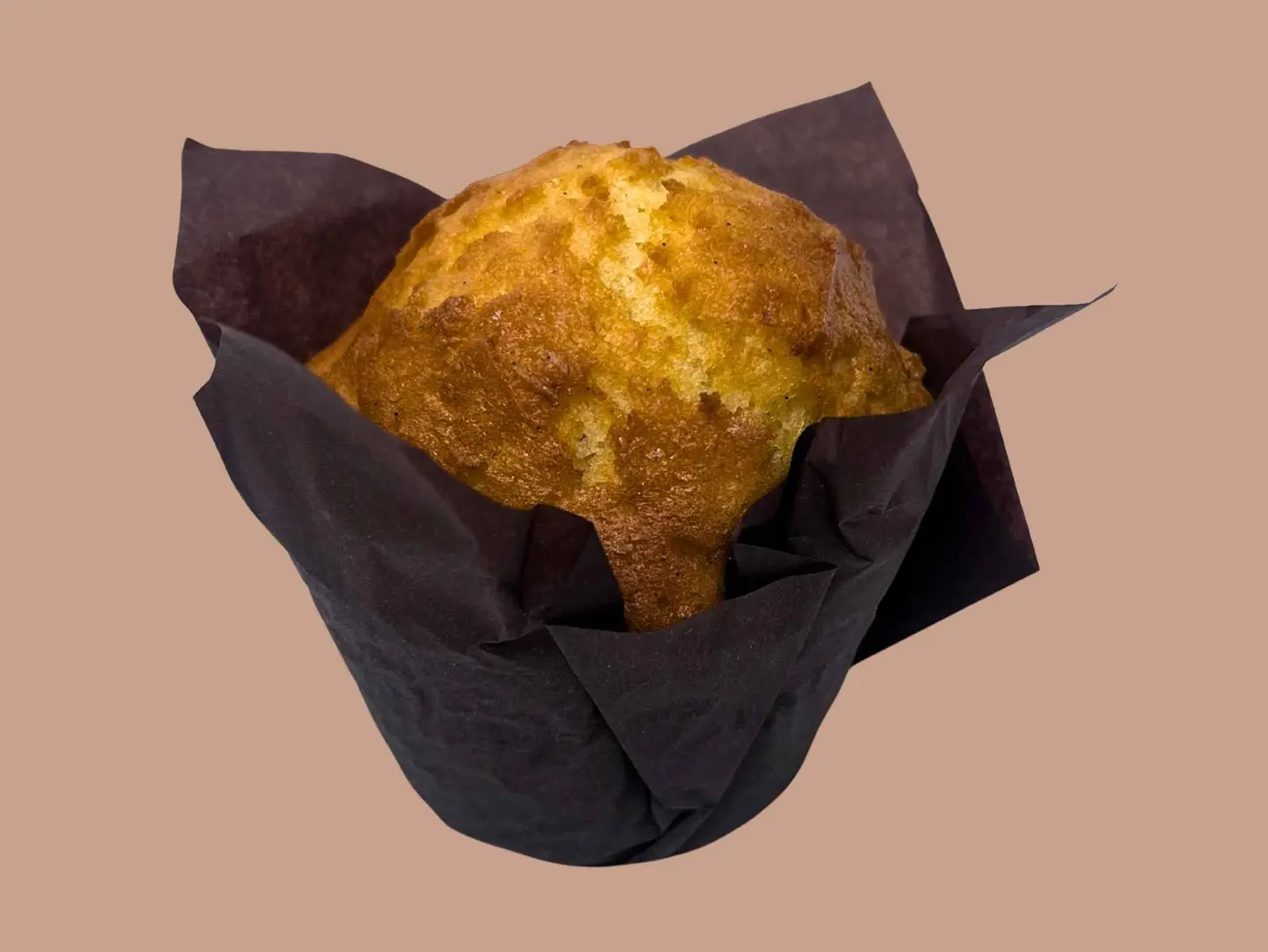 Vanilla Muffin