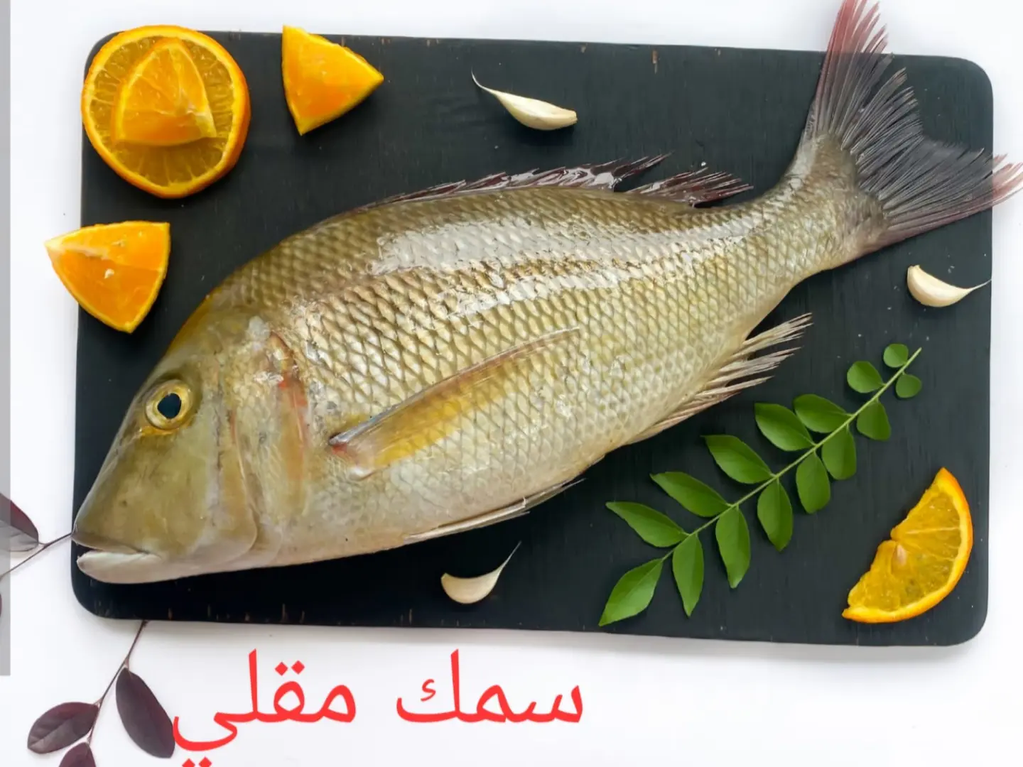 حبة سمك شعور سادة بدون رز