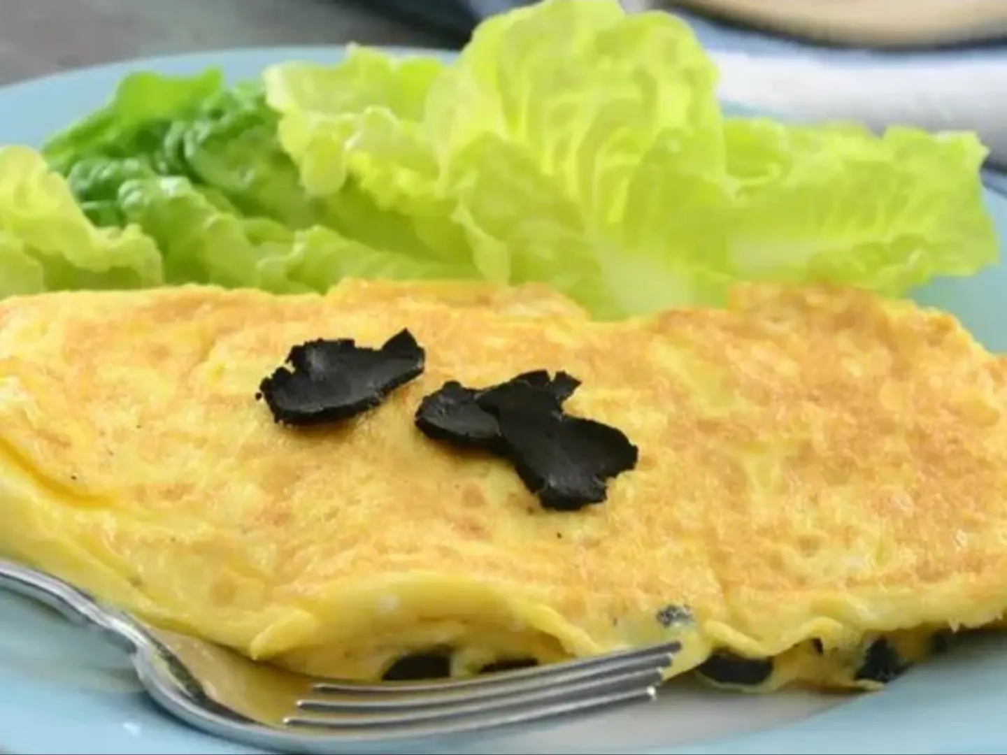 اومليت ترافل