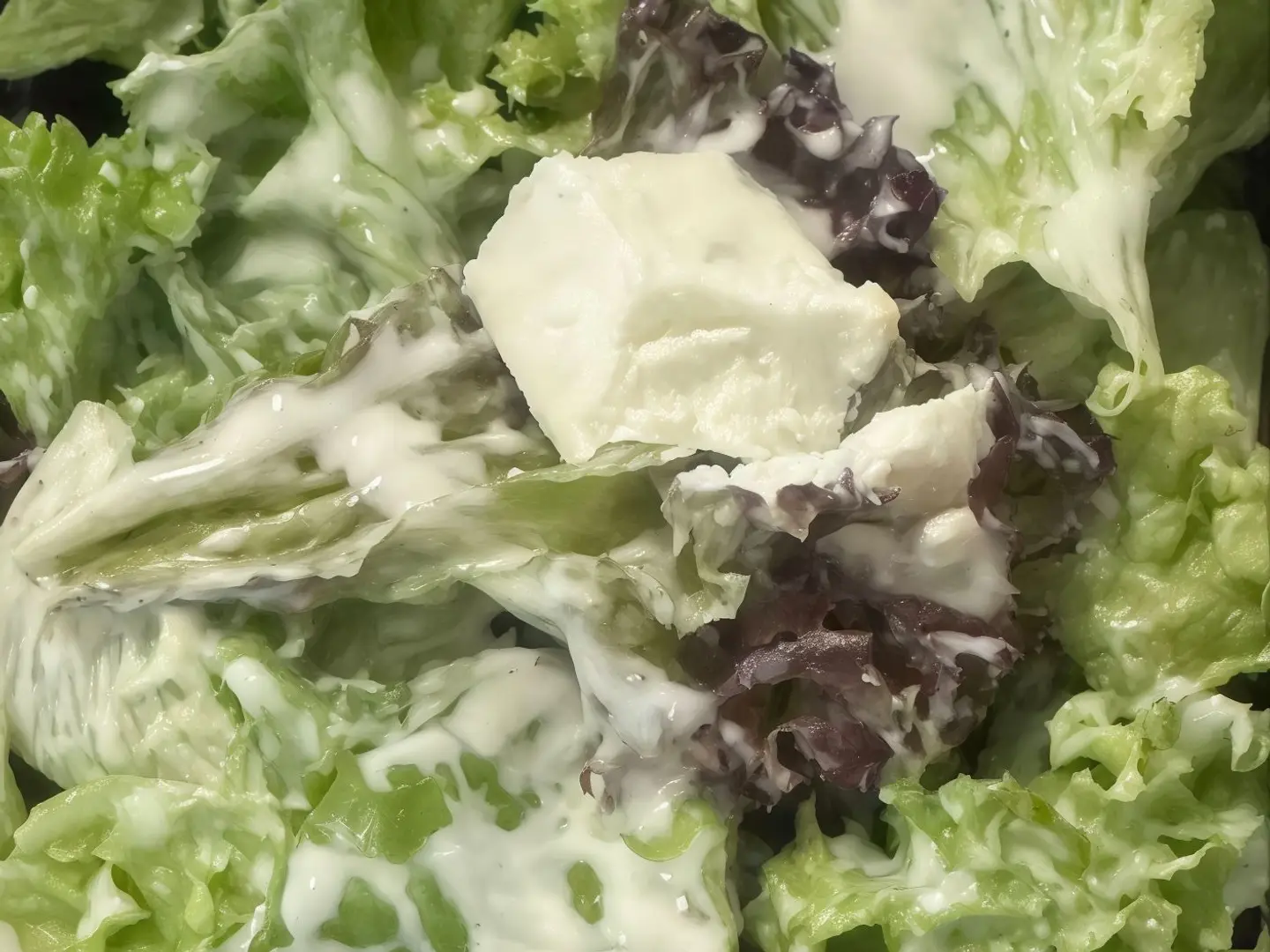 سلطة سيزر دجاج