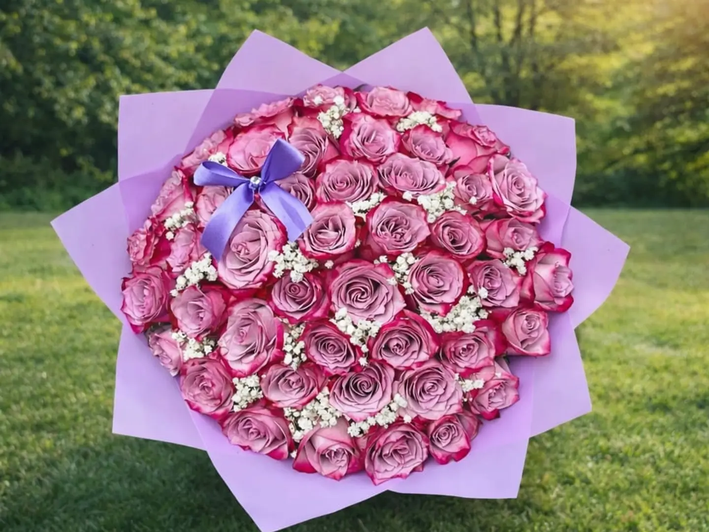Beauty Package 15
