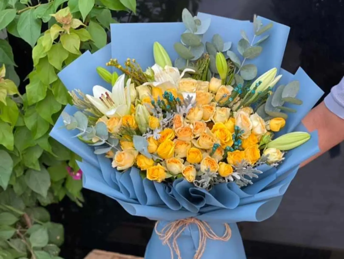 باقة الجمال8