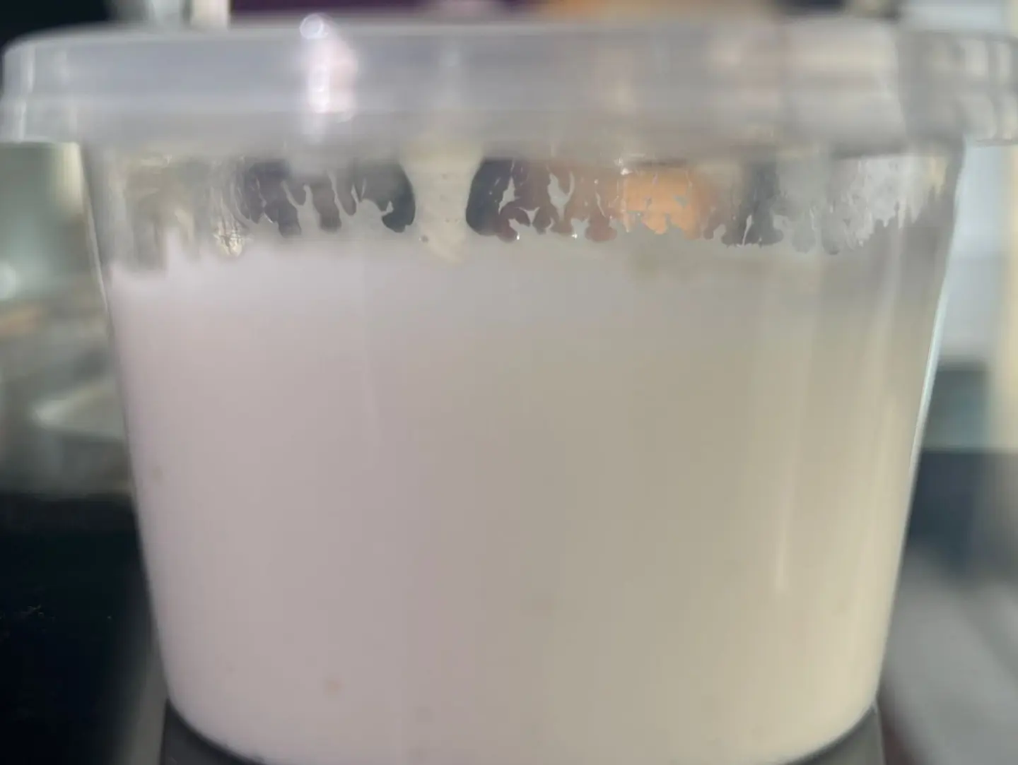 Garlic Sauce