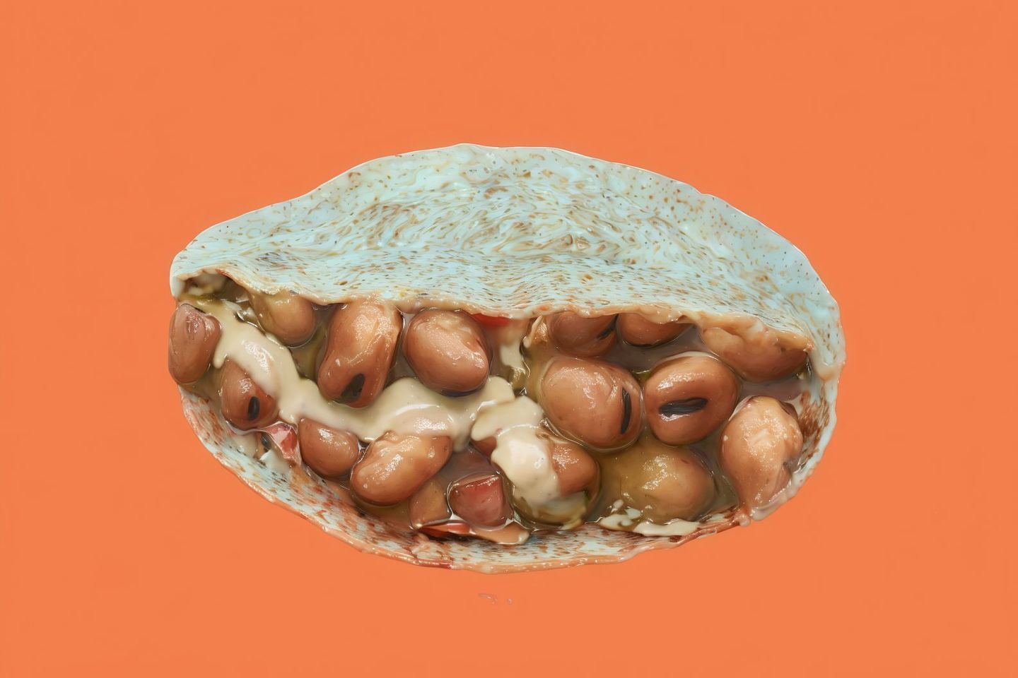 فول بالطحينة