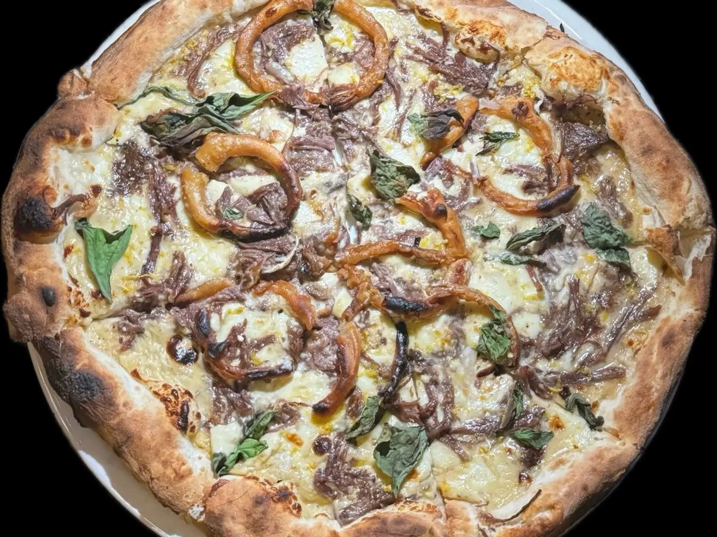 شورت ريب