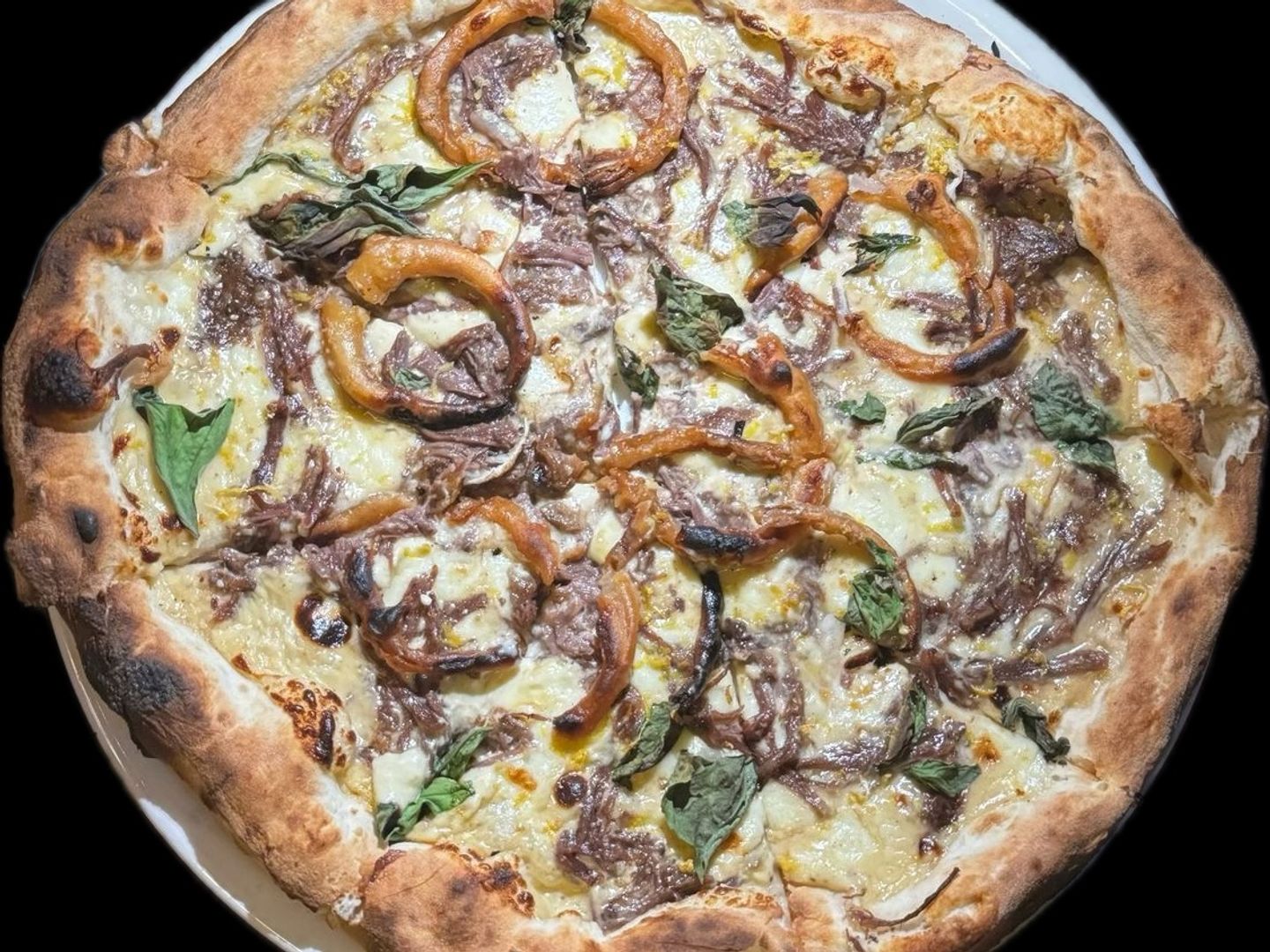 شورت ريب