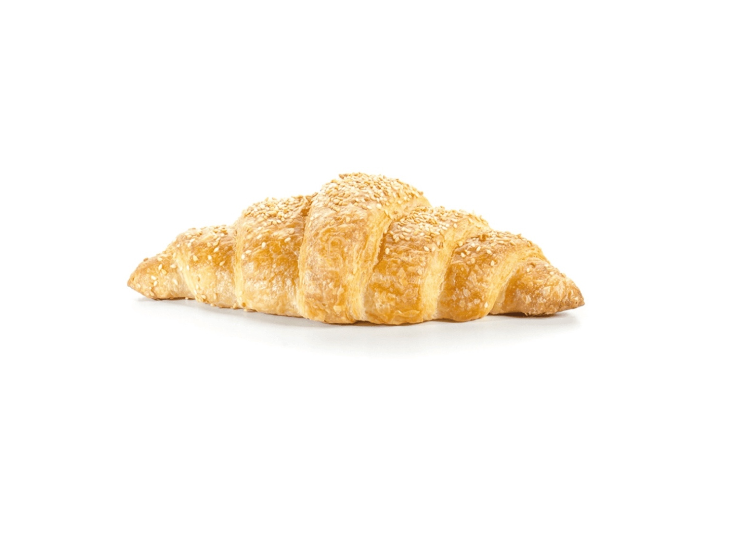 White Cheese Croissant