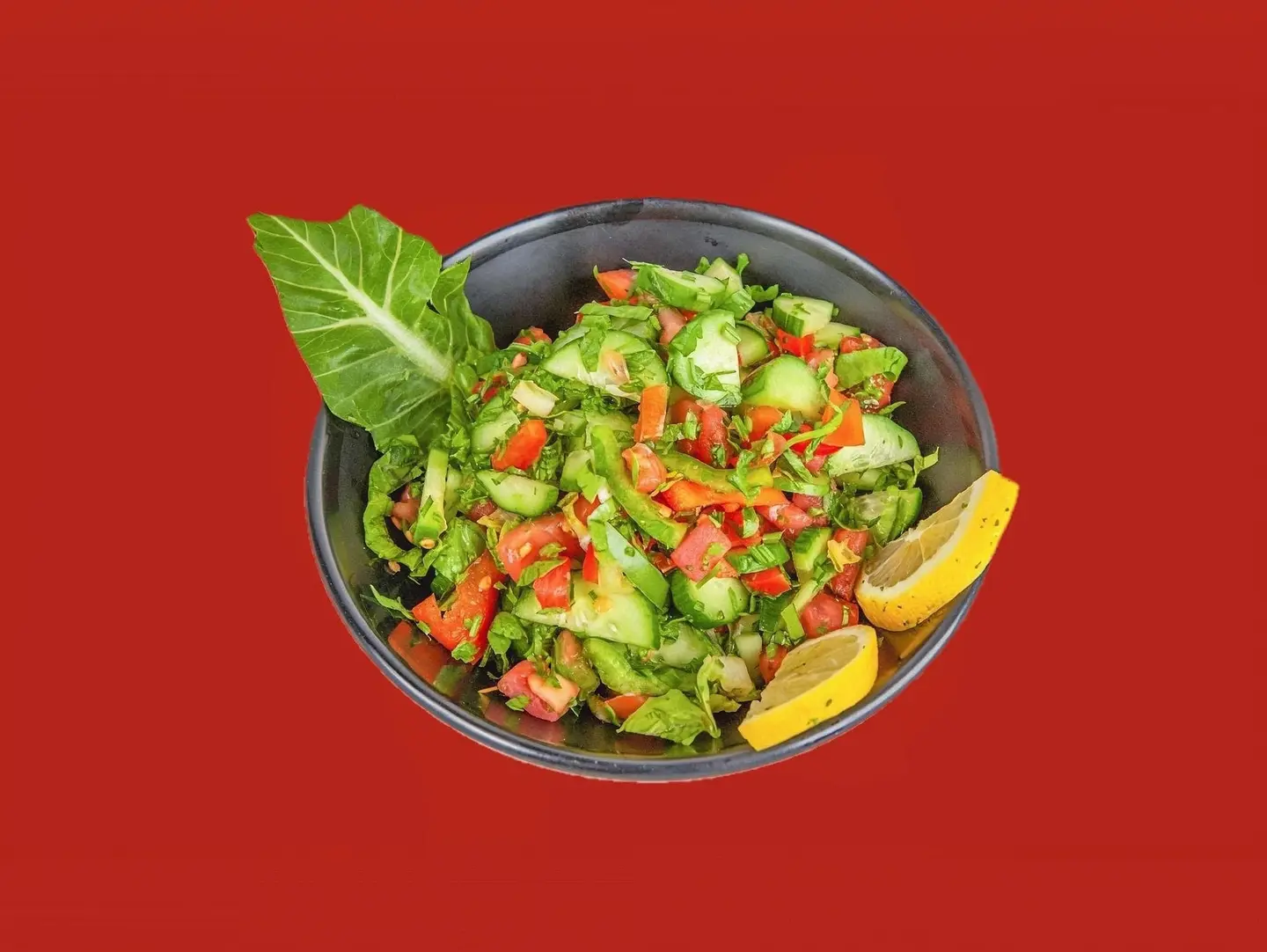 Vegetable Salad Dish - Large
