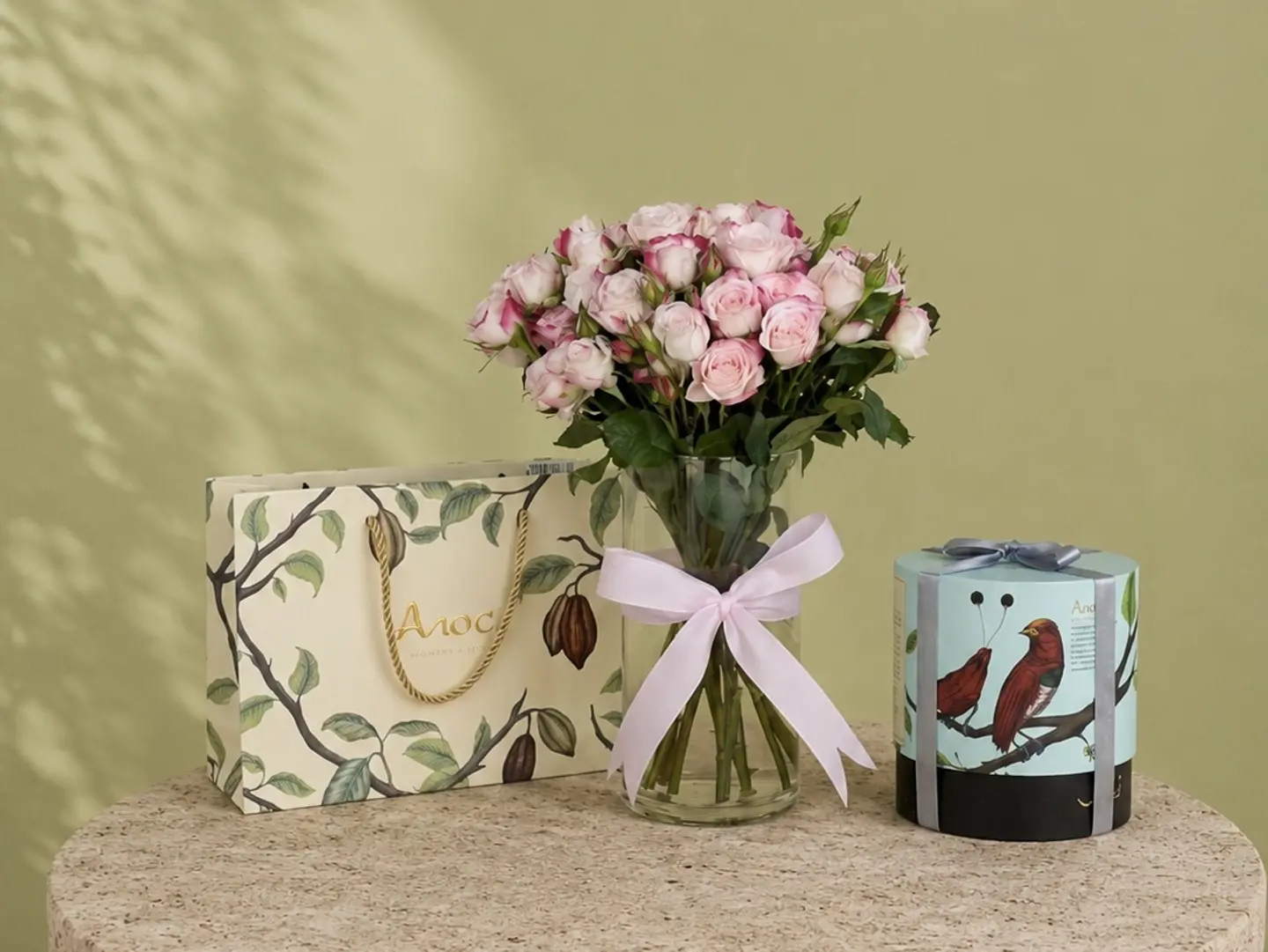 Baby Rose Pink Won With Chocolate Anush