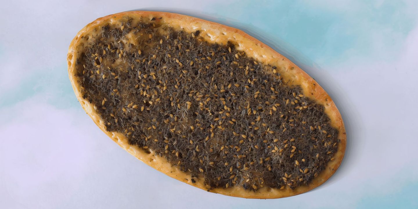 زعتر سادة
