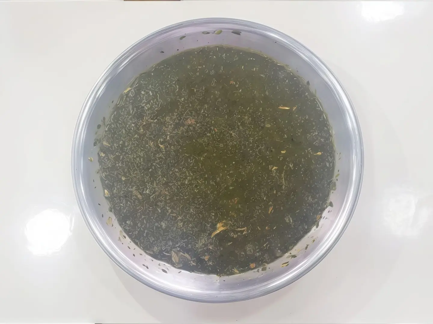 ملوخية