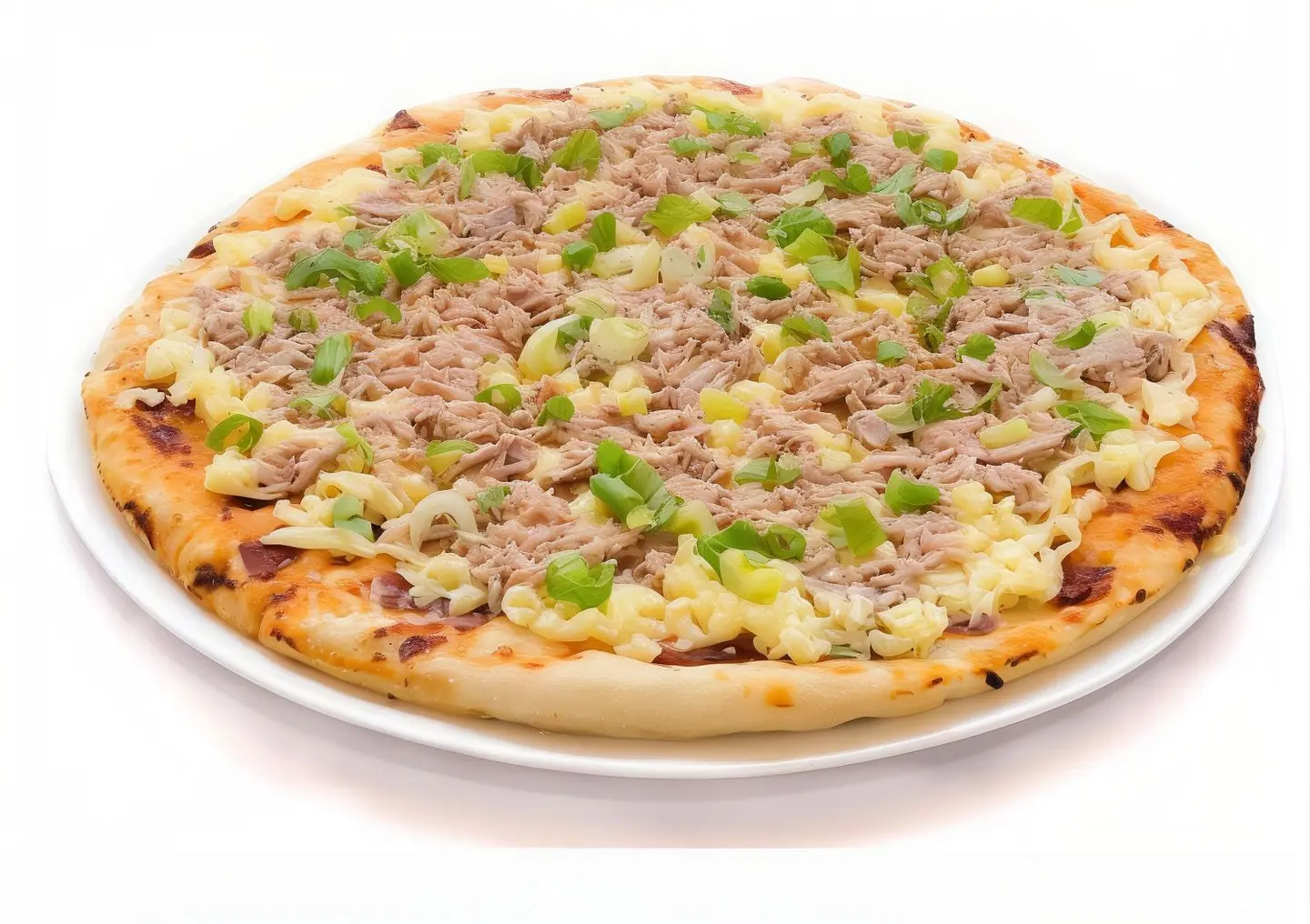 Tuna Pizza