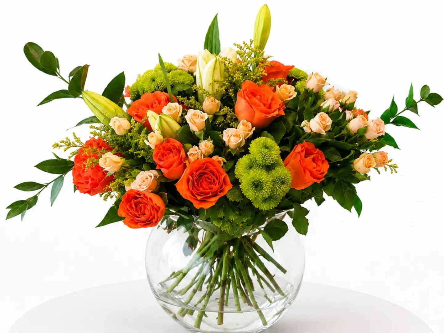 فازة 19
