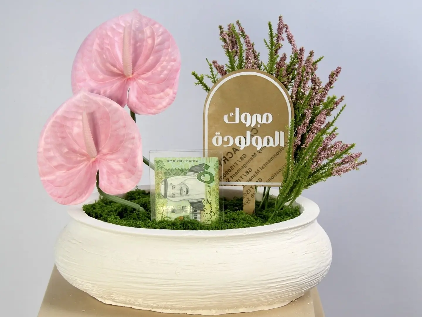 مولود جديد 5