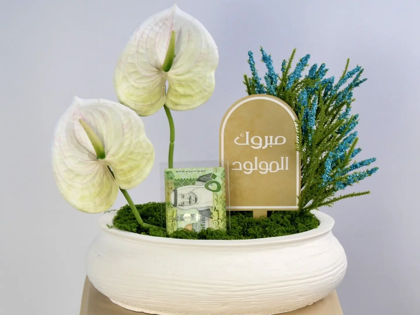 مولود جديد 6