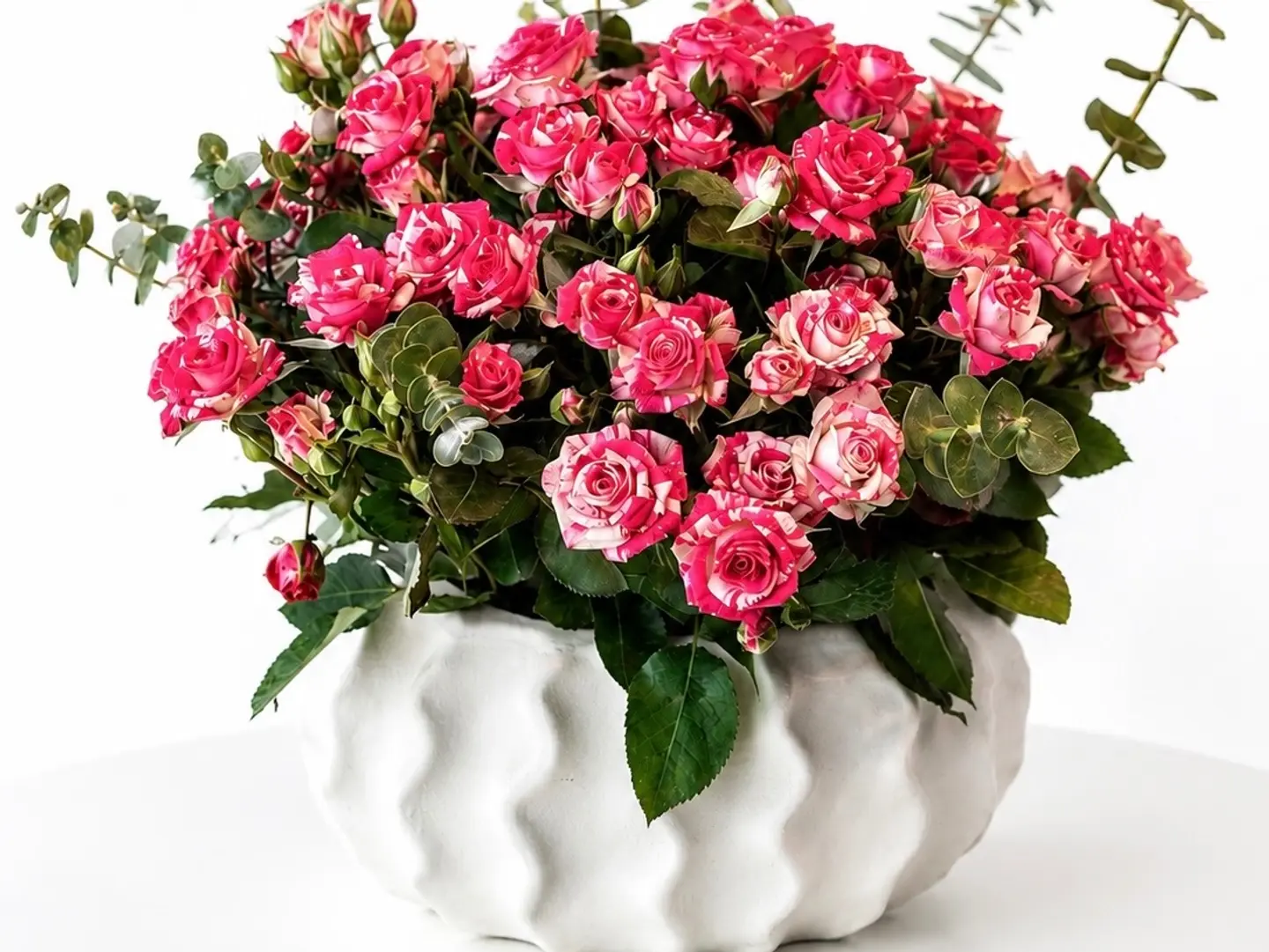 فازة 21