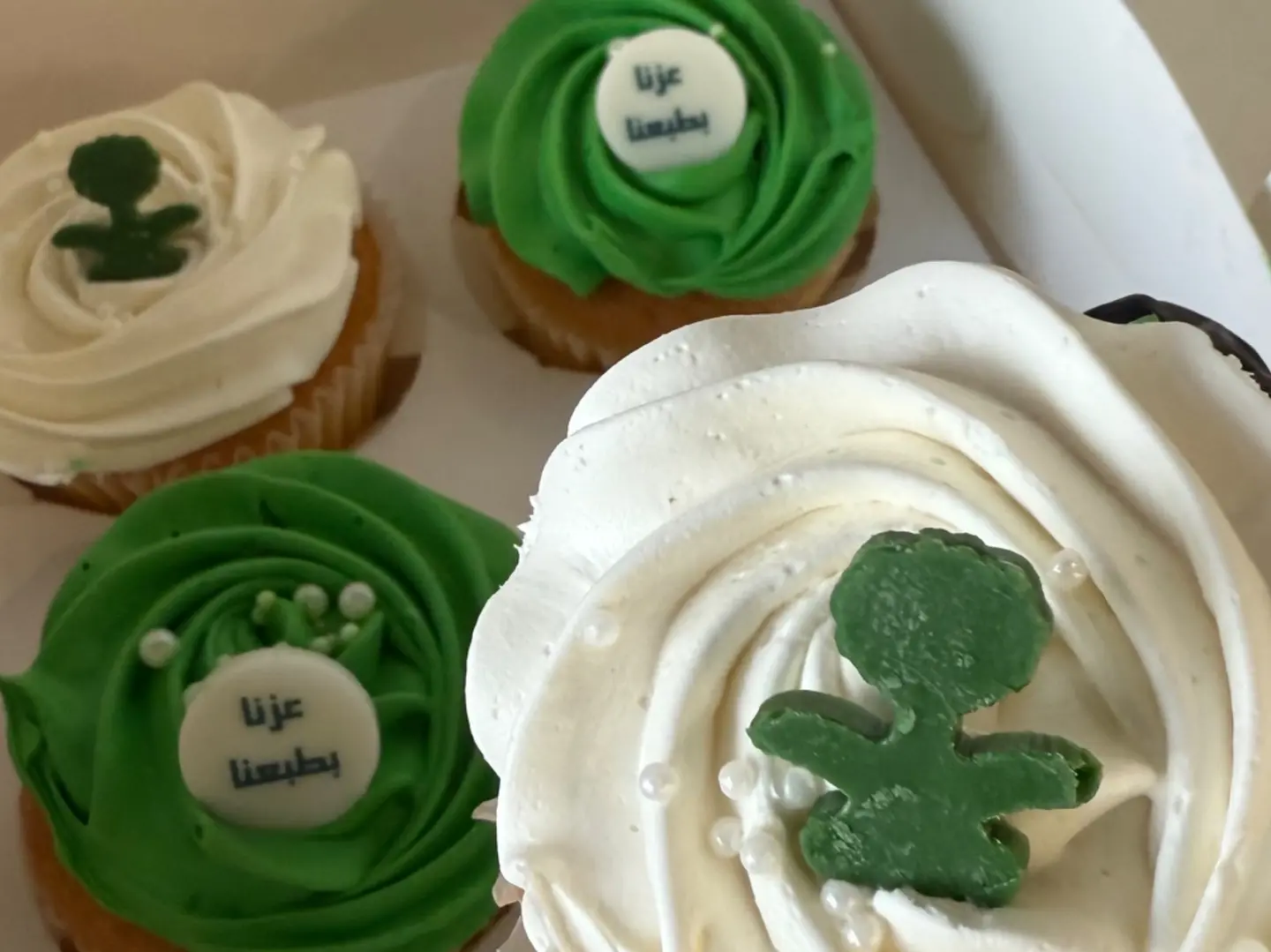 Cupcake Saudi Day