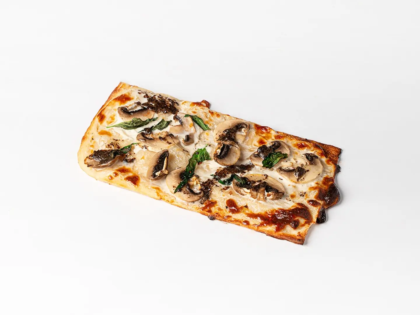 ترفل فونغي مشروم