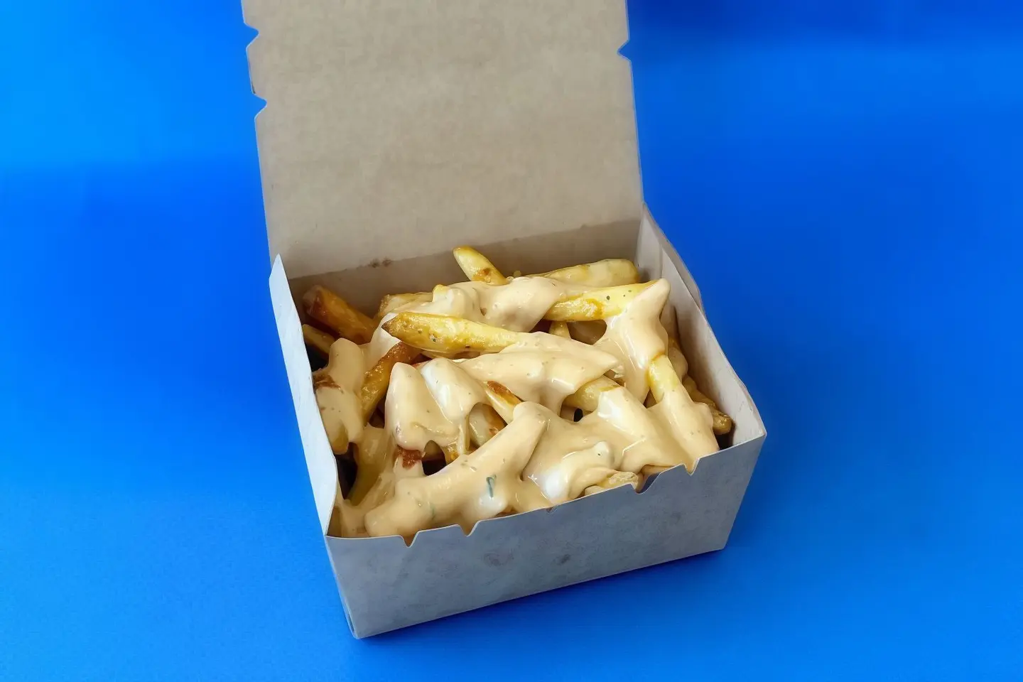 Cheese Fries