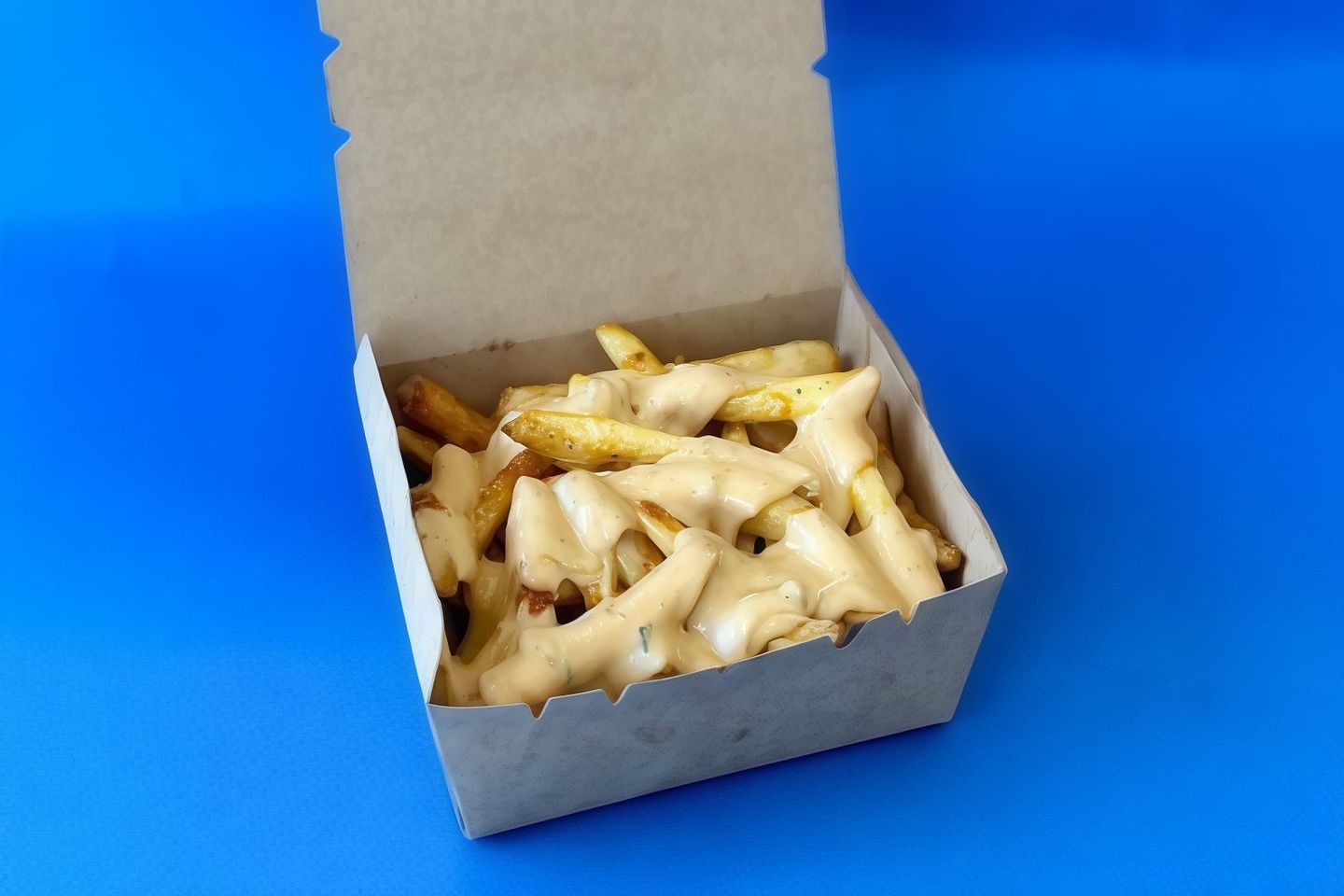 Cheese Fries