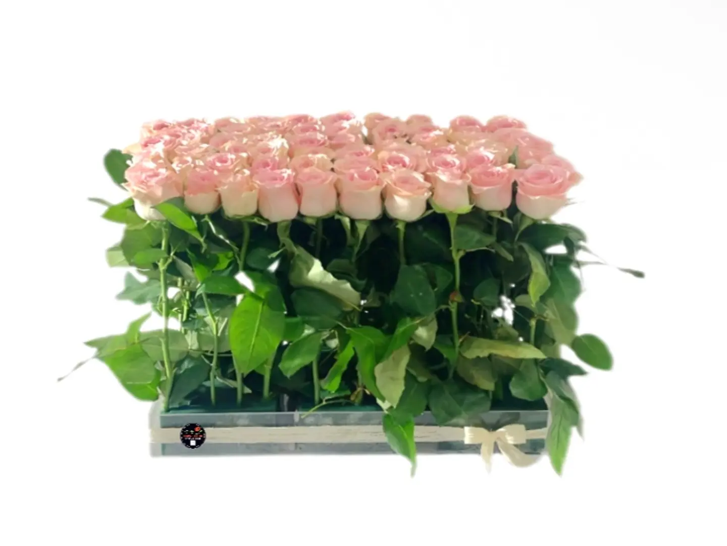 Gift Roses