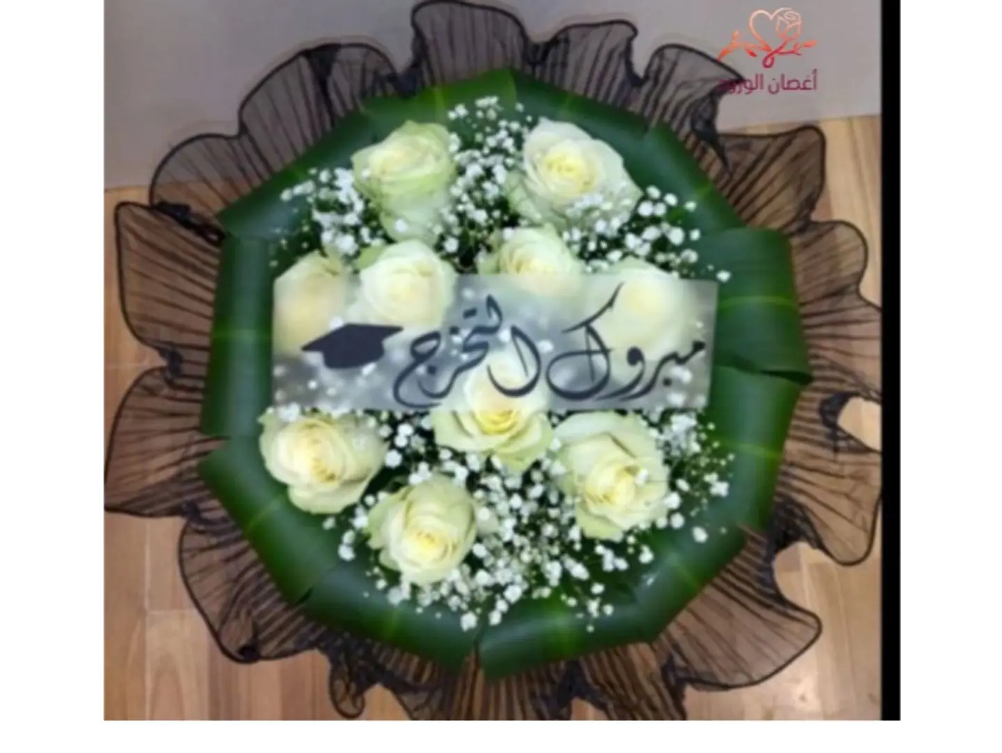 White Rose Collar Black Lace Cover