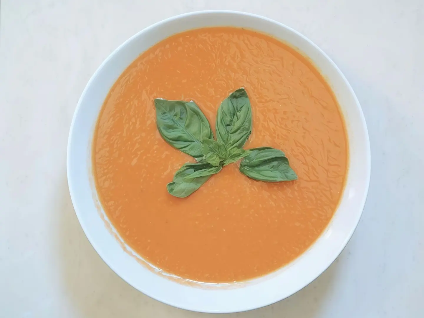 شورباء كبير