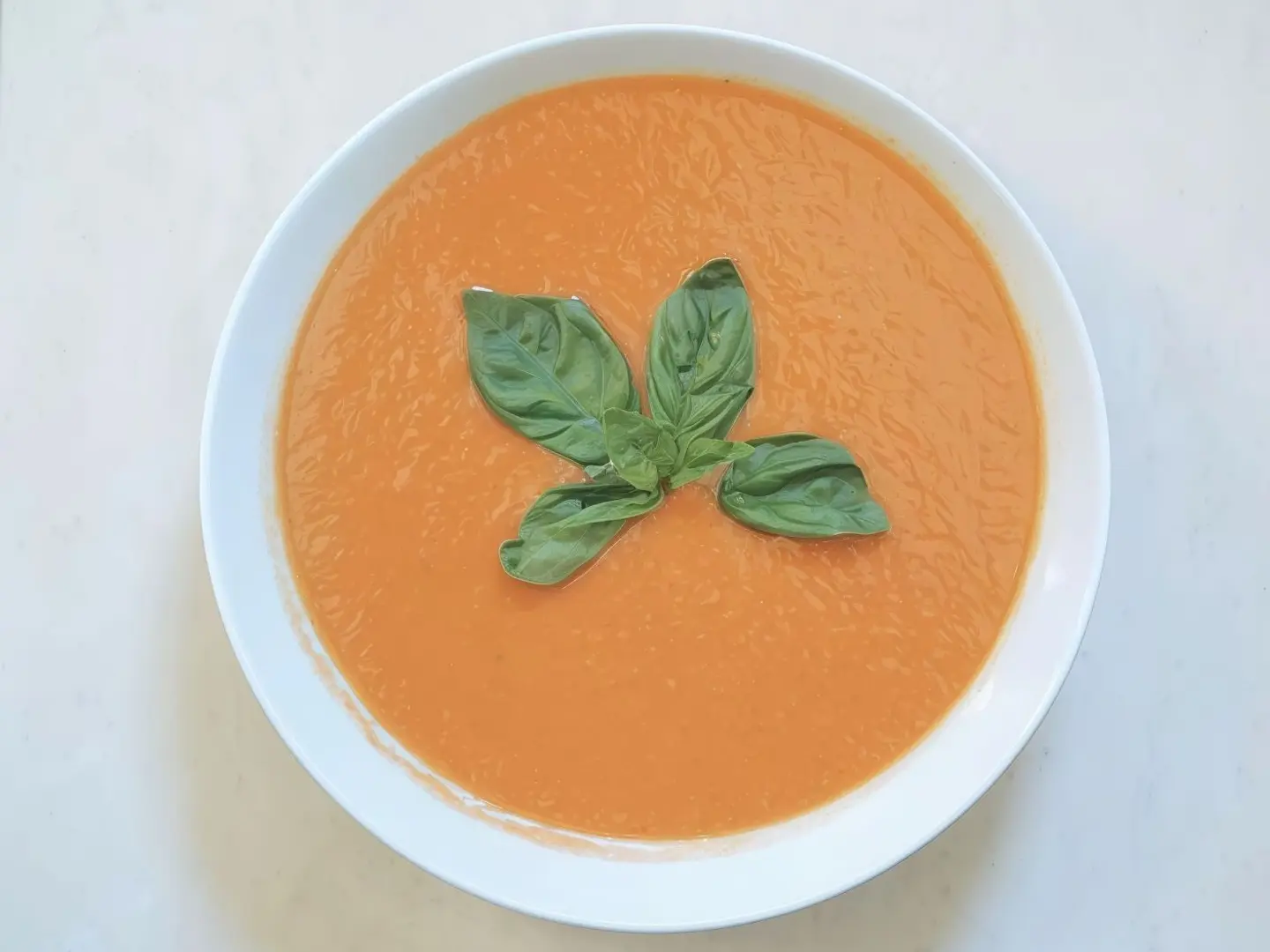شورباء صغير
