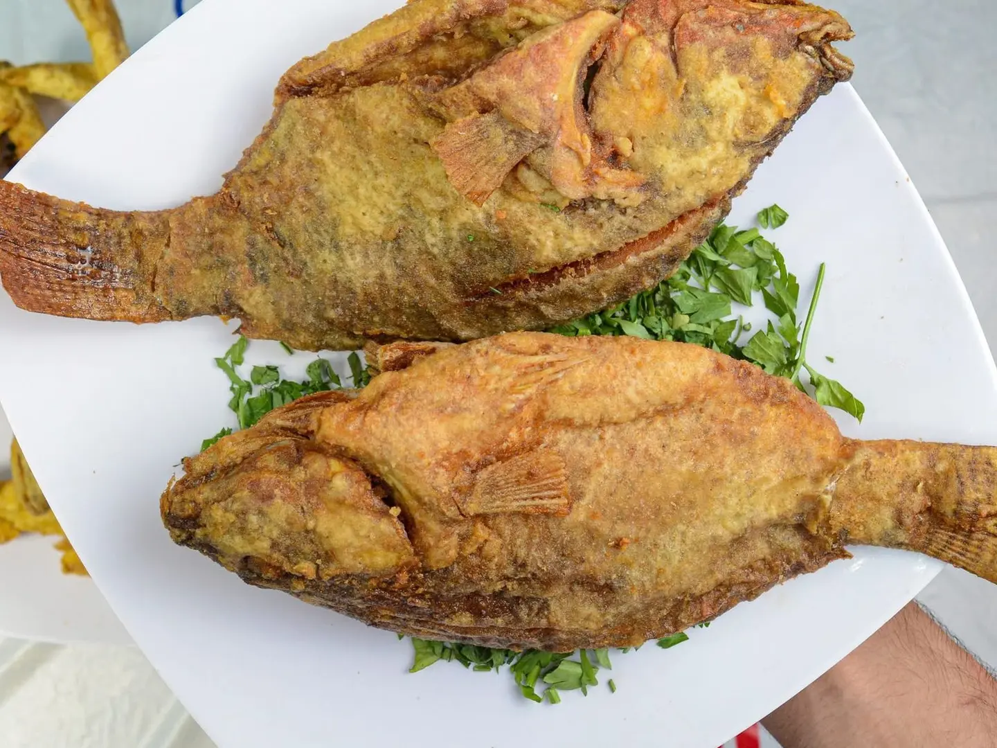 مرجان(عندك)