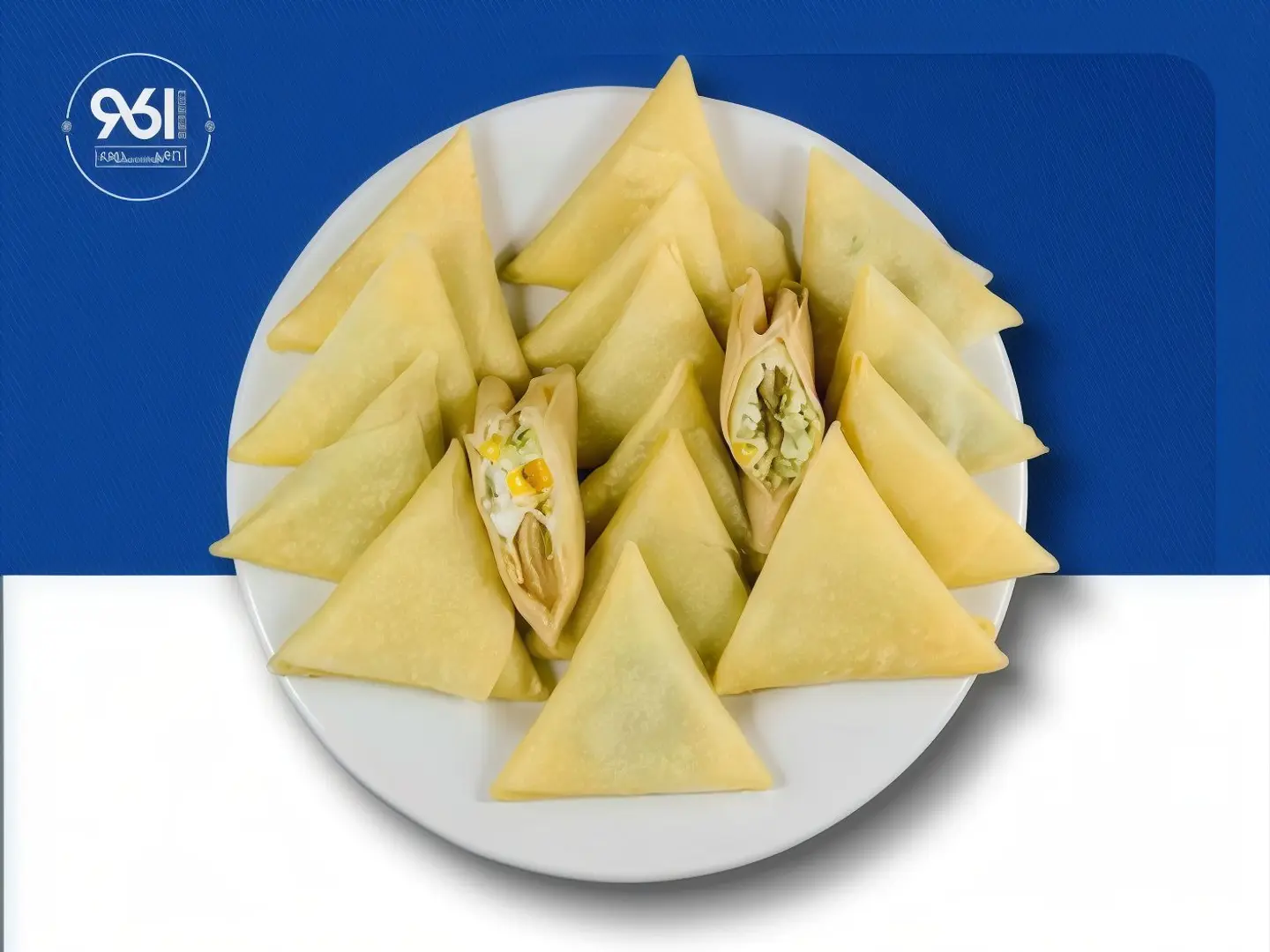 Frozen Samosa