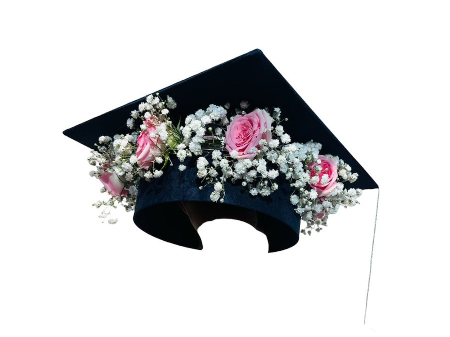 Rose Grown 3