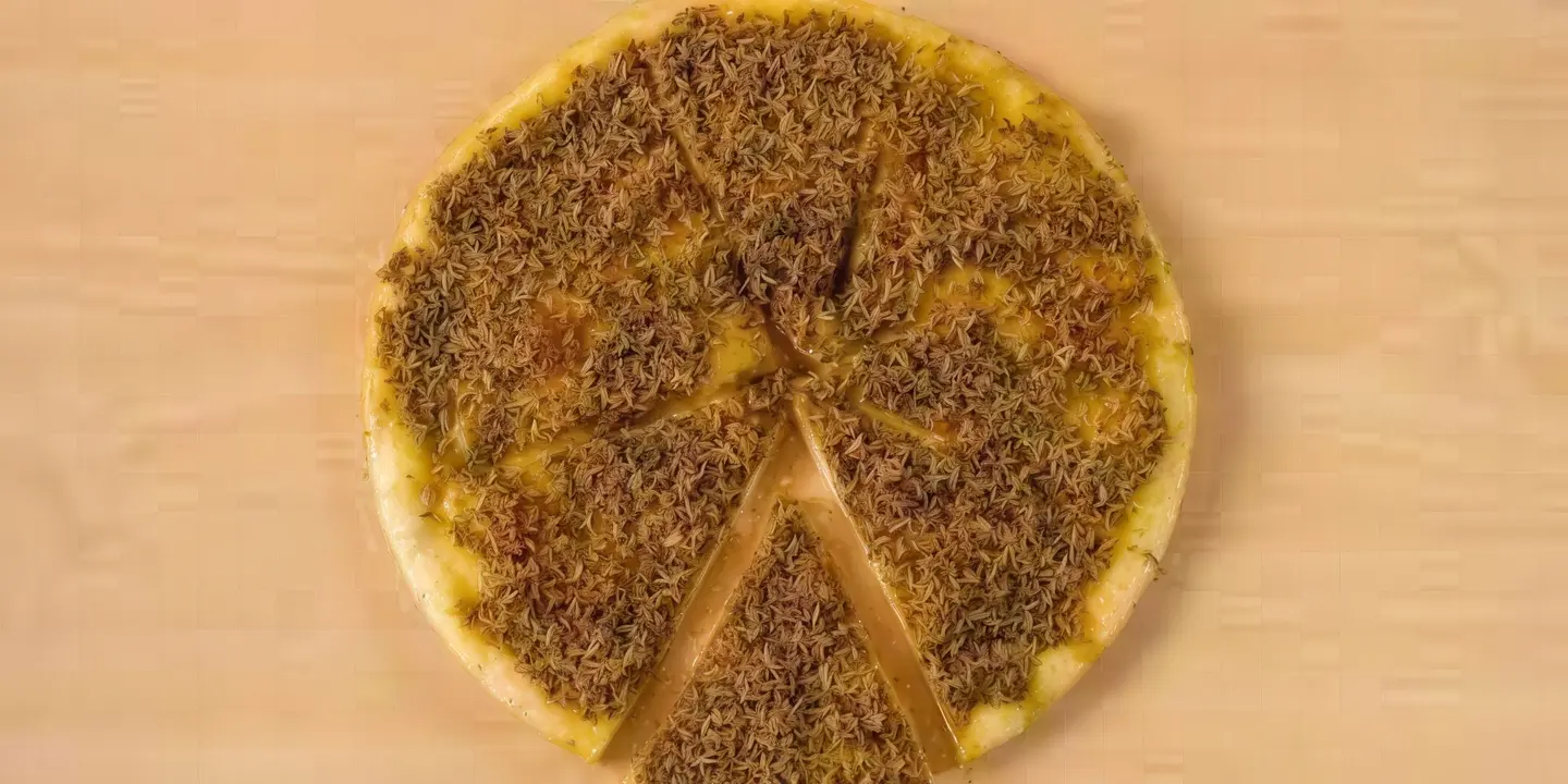 زعتر