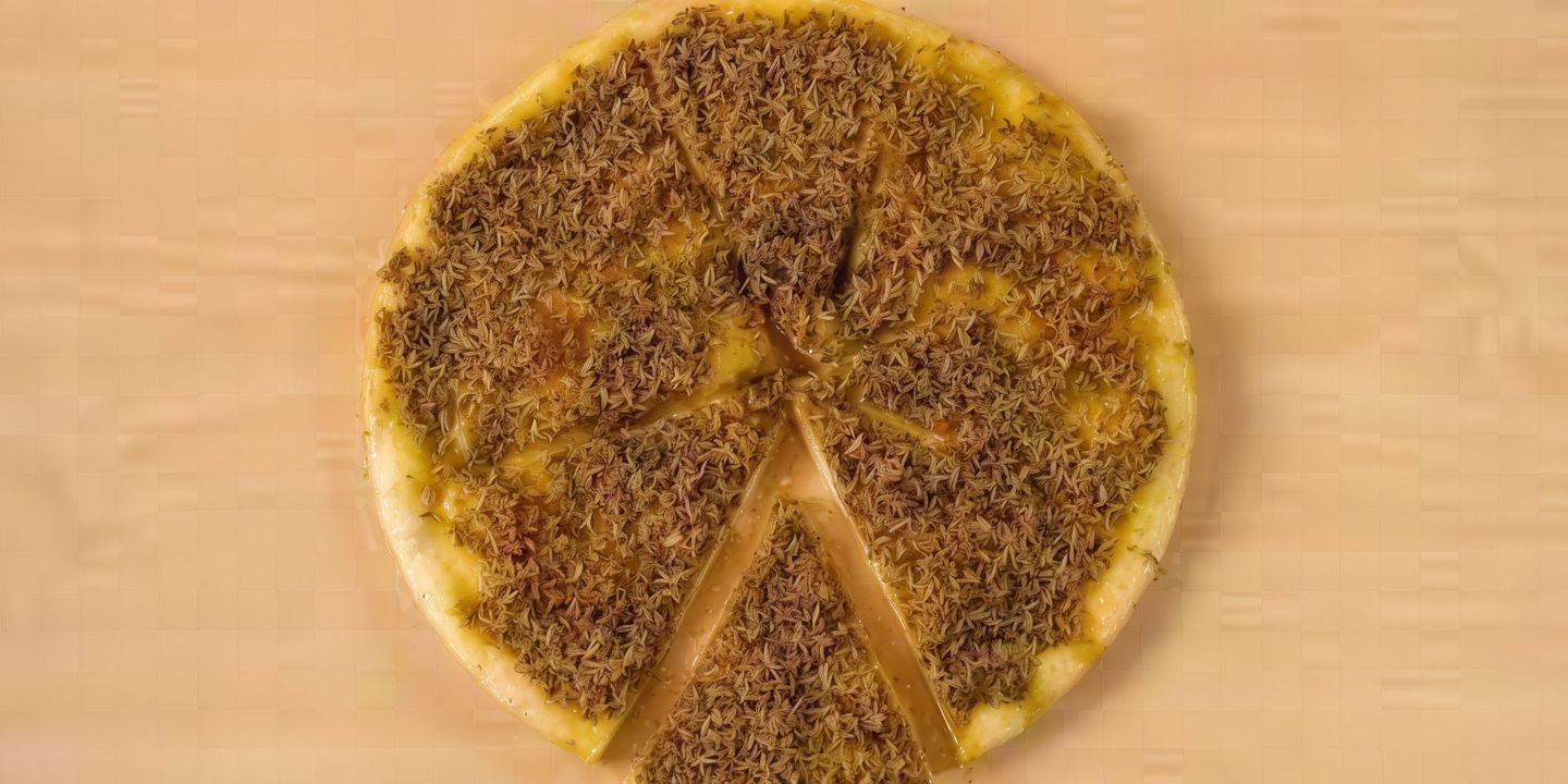 زعتر
