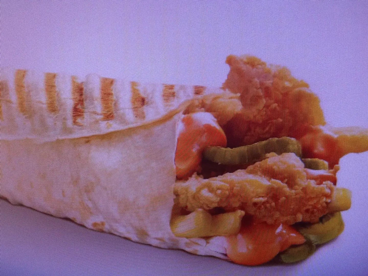 Sandwich Fileh Dagag