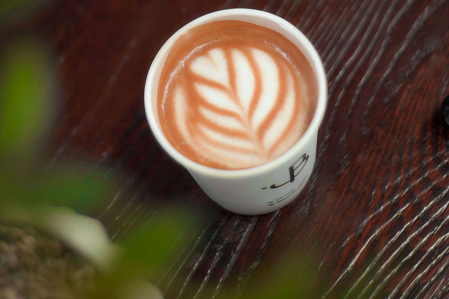 Mocha
