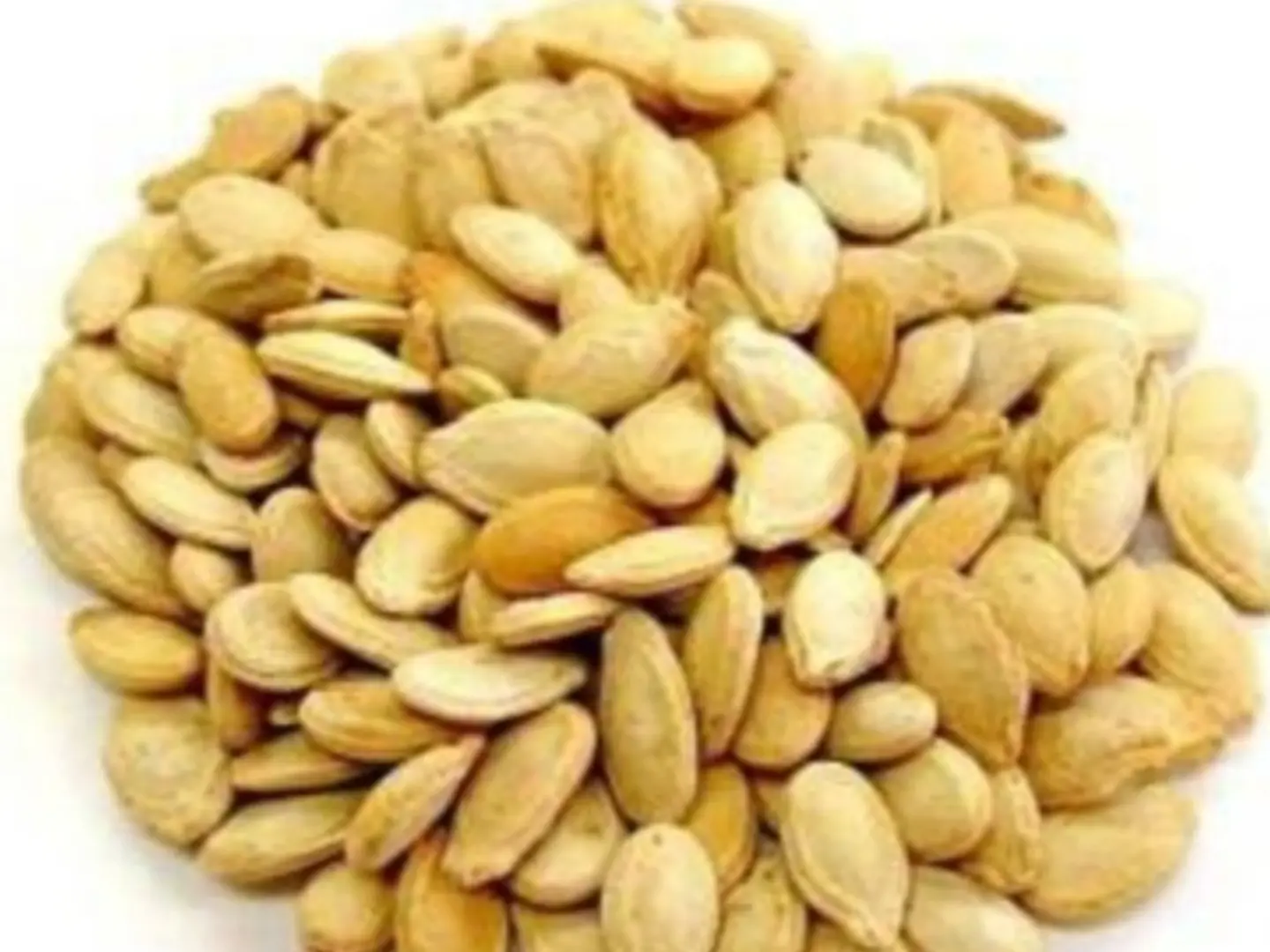 حب مصري صغير