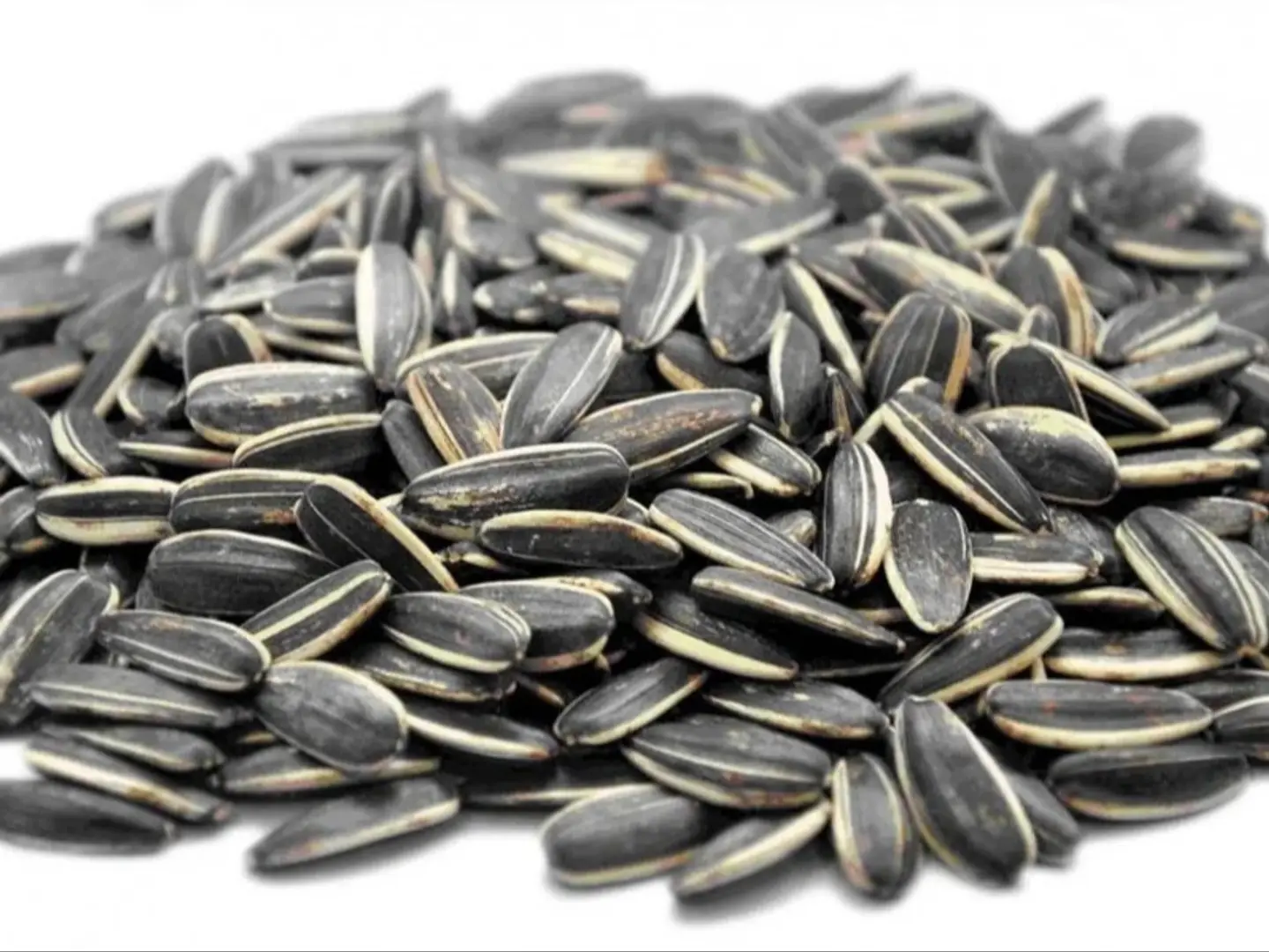 حب دوار شمس كبير