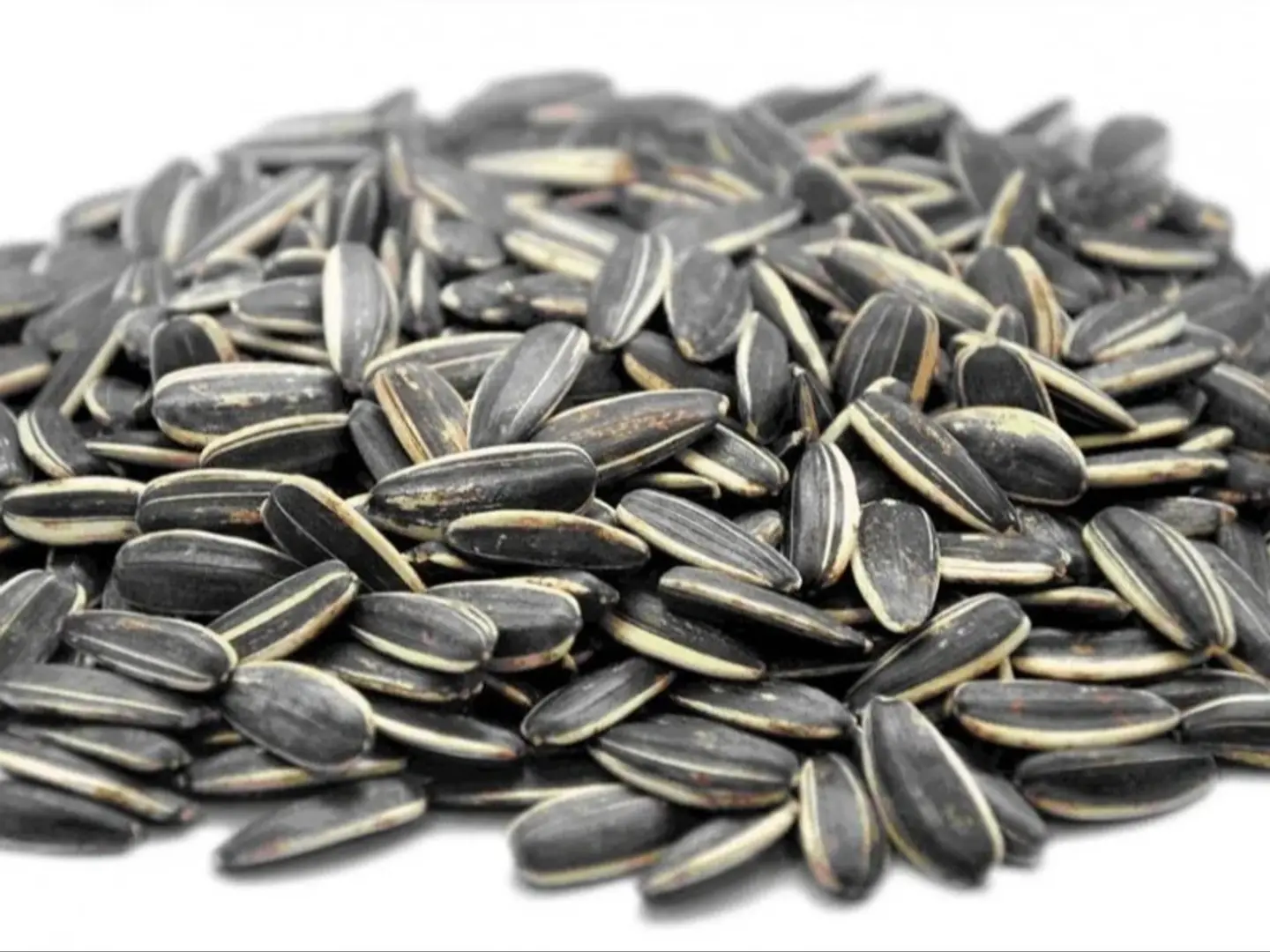 حب دوار شمس صغير