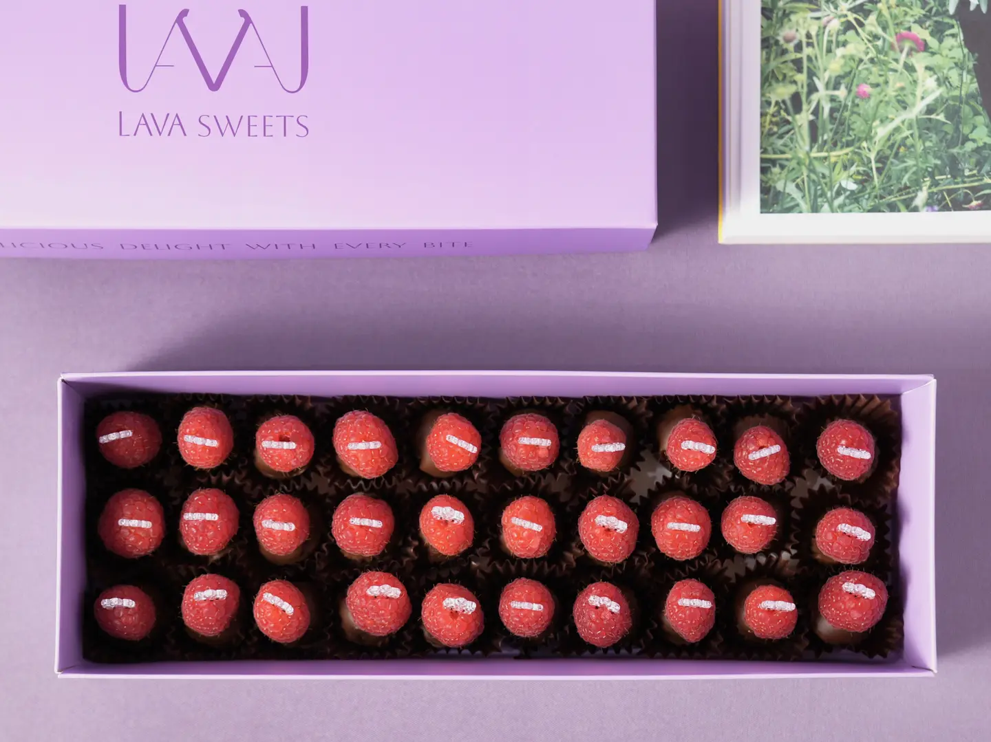 رازبيري ترافيل