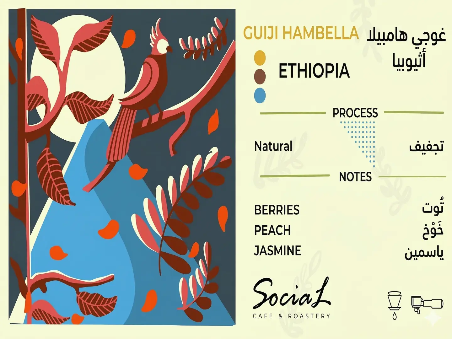 ويست أرسي أثيوبيا