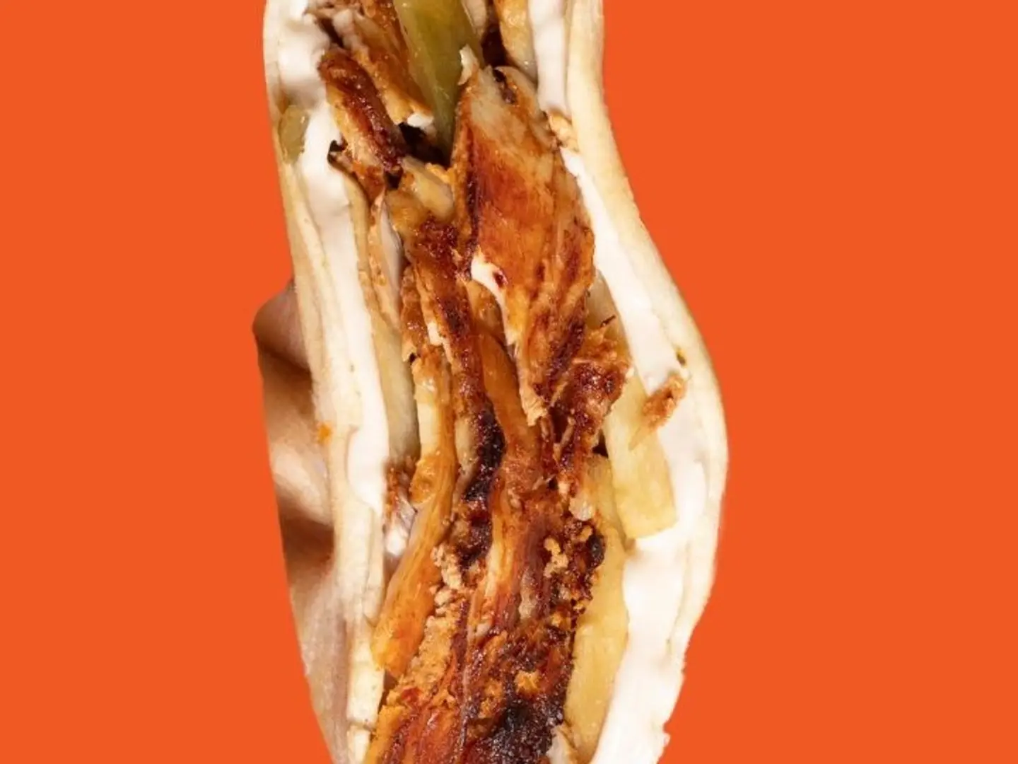 Chicken Shawarma Samoon