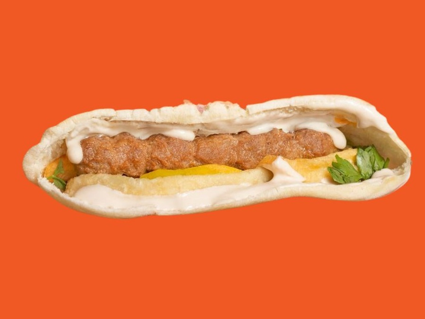 Chicken Kebab Samoon