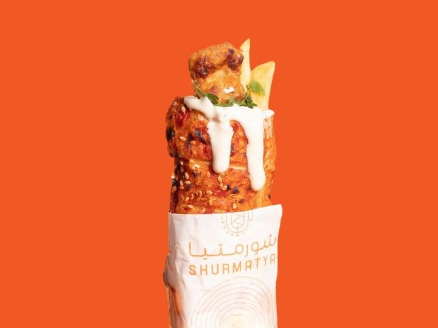 Chicken Kebab Qursan