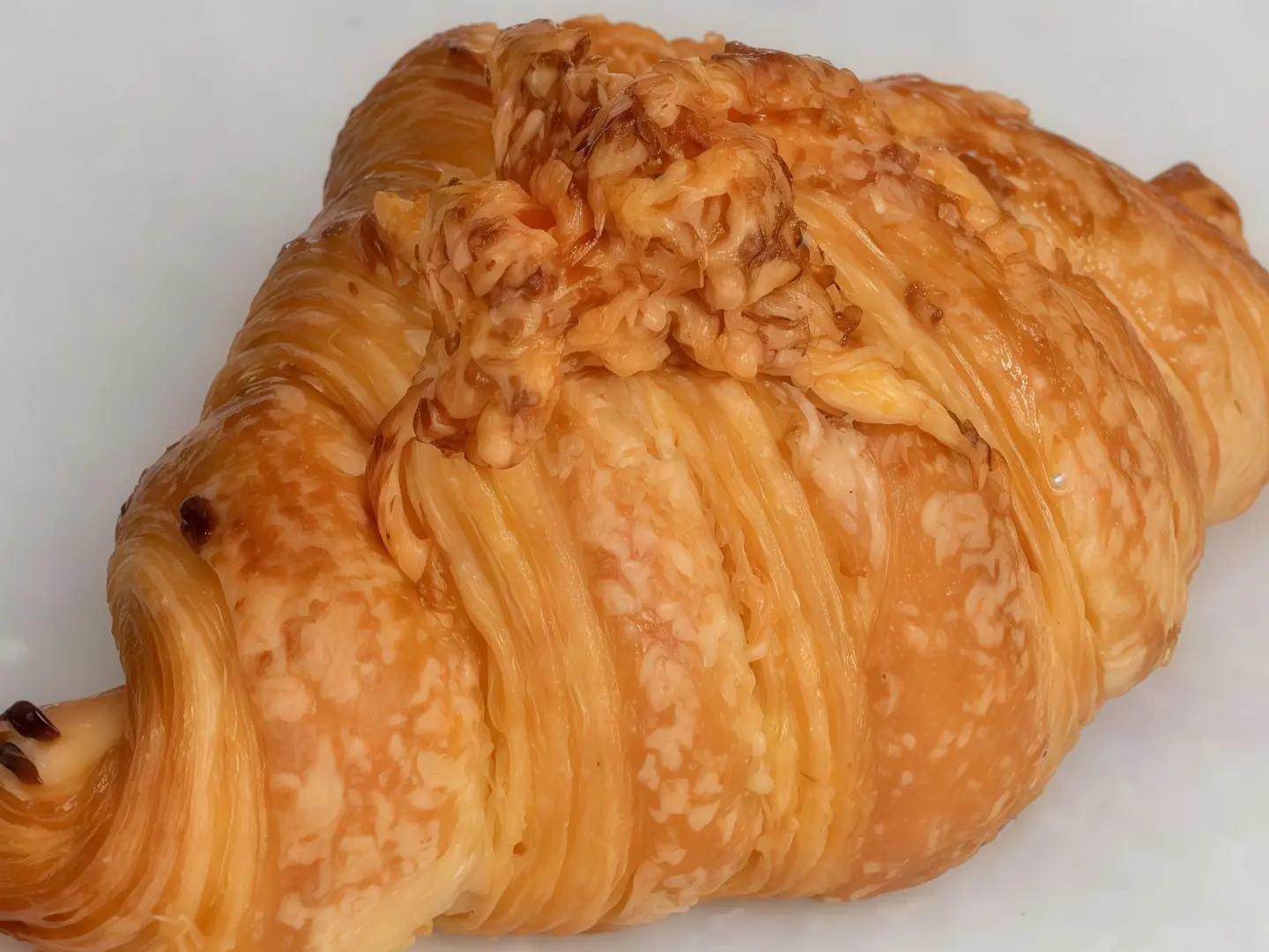 كرواسون سادة