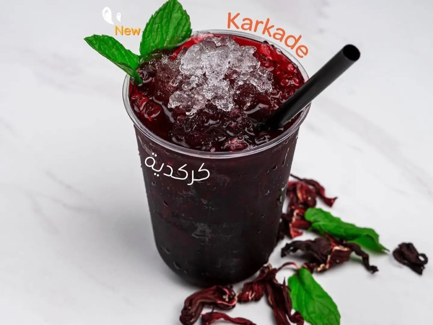 كركديه بارد