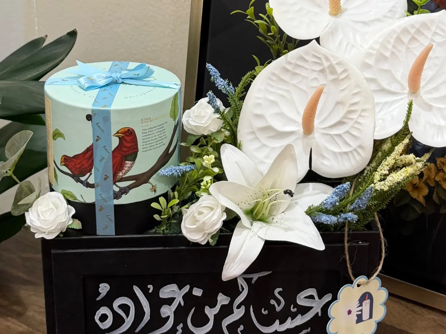 قاعده انوش العيد