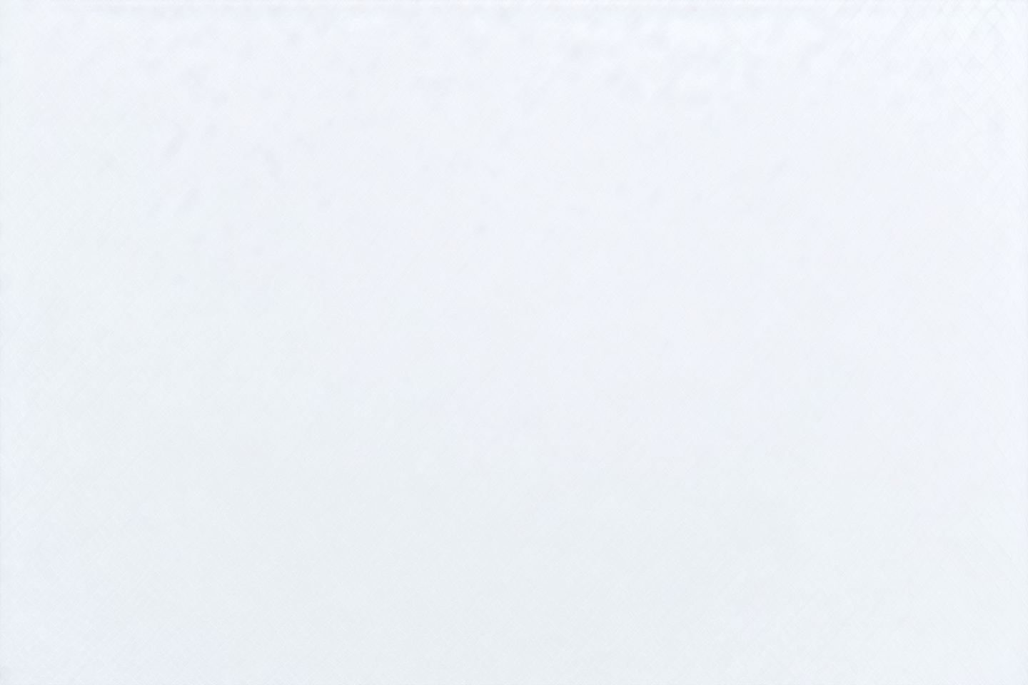 ساندوتش شيش طاووق - صاروخ